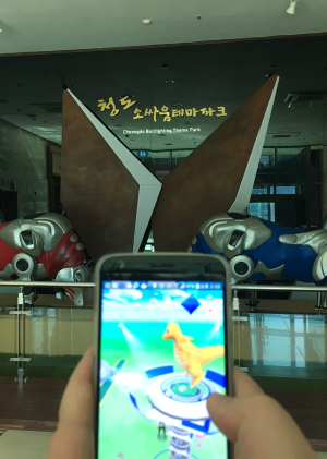 牛싸움도 보고, 포켓몬도 잡GO!