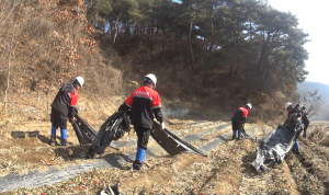 폐비닐 때문에 산불 날라… 제거 ‘팔 걷어’