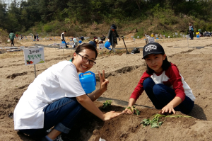 영주시, 내일부터 이달 말까지 비농업인 세대 도시텃밭 분양