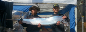 구룡포 석병리서 2m 산갈치 발견