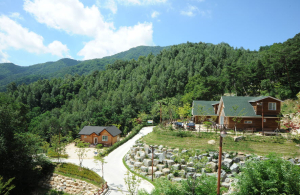 고령, 미숭산자연휴양림 ‘새 단장’