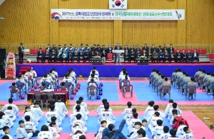 태권도대회에 고령 홍보까지 ‘일석이조’