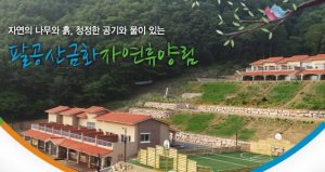 봄이 오는 3월, 엄마아빠와 함께 걸어요