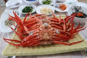 강릉 주문진맛집 ‘주문진홍게무한리필’과 함께하는 즐거운 강릉여행