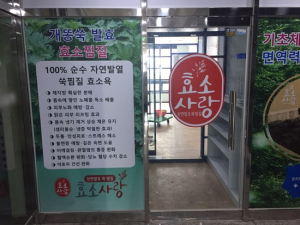 김포 효소 찜질방 효소사랑, 개똥쑥 천연발효열 효소찜질로 면역력과 휴식을 함께