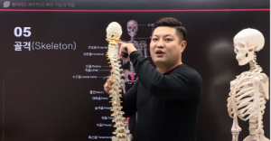 필라테스 강사를 위한 전문 온라인 강의 플랫폼 이파마스터 런칭