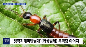 大 캠퍼스 벌레 파문 연이어…`화상벌레`에 `배달음식 벌레`까지