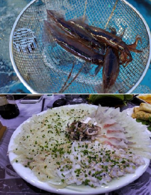 연예인들의 숨은 단골 맛집 해운대 맛집 ‘빨간산오징어’ 