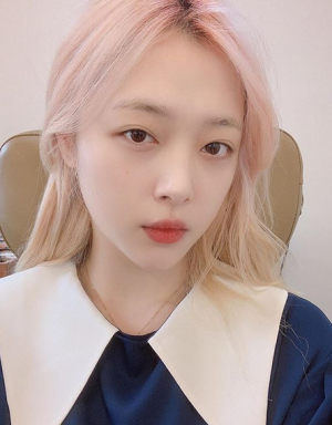 ‘고블린’ 직접 나섰던 설리, 이수만 사장과 대화 내용 공개하기도 