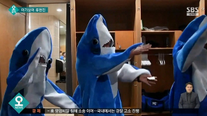 야구선수는 문신까지 하겠다고 선언…아기상어, 베이비샤크에 미친 사람들