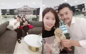 강아지분양 ‘펫갤러리아, 펫제이’ 다양한 품종들을 합리적인 분양가로 만난다