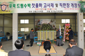 ‘고령명품 우곡 수박’ 본격 출하