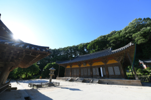 <특집>“올 여름, 안전한 비대면 관광 1번지 영주 어떠세요?”
