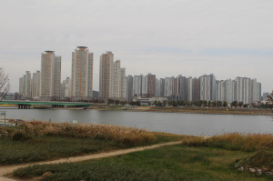 <기획> 포항 아파트 가격 폭등 ‘공급 부족ㆍ투기세력’ 탓