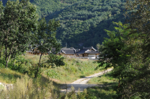 <기획> 낙동강을 거닐다 12-산수에 취해 걷노라면…농암 선생의 시조 한 수가 절로