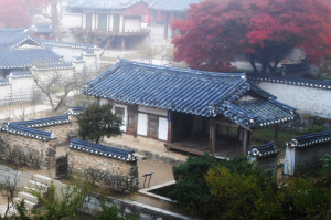 <기획>낙동강을 거닐다 14-숱한 역사의 흐름 속 흔들리지 않은 성현, 퇴계 이황 선생을 기리며