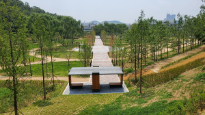 성당못 서편 ‘대구대표 도시숲’으로 탈바꿈
