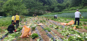 영덕 축산면, 지역 농산물 판로 확대 나서