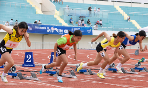 ‘교보생명컵 시도대항육상’ 영천서 열띤 경쟁