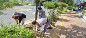포항시 장량동, 법원로 주변 도심환경 개선