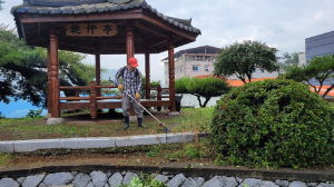 상주 신흥동, 가장동 마을안길 환경정비 '구슬땀'