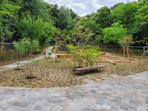 달성군, 동곡초 학교 숲 조성사업 완료