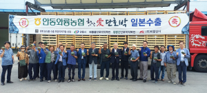 안동 단호박, 일본 첫 수출 길 올랐다