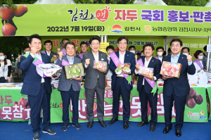 김천자두 홍보 나선 국힘 주요 당직자