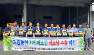 경산 샤인머스켓, 베트남 소비자 사로 잡는다