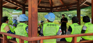 울진 금강송면, 노인일자리사업 실시