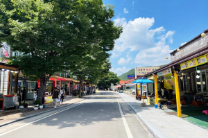청송군, 주민주도 주왕산 골목상권 활성화