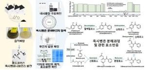 상주국립낙동강생물자원관, 난분해성 유기화합물 분해하는 미생물 발견