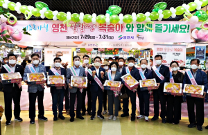 피서철…영천 스타복숭아 전국에 알린다
