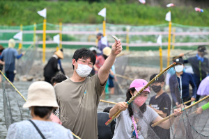 온몸으로 즐긴 영덕 황금은어축제, 짜릿한 손맛에 무더위는 저만치…