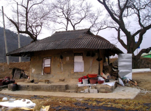 <노영현칼럼> 삼강주막 酒母 유옥연 할머니의 回想