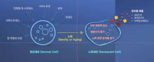 케이메디허브, 영남대학교 선도연구센터지원사업 기초과학분야 참여