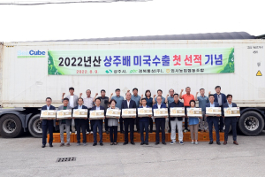 상주 외서농협, 원황 햇배 미국 첫 수출길
