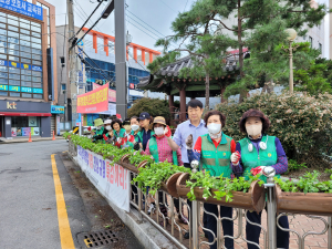 포항시 흥해읍 새마을부녀회, 여름 꽃 식재