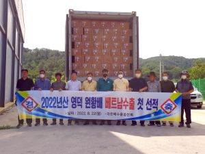 영덕 원황배, 올해 첫 해외 수출…베트남에 7.5톤