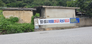 문경 “야생멧돼지 사체 발견 즉시 신고하세요”