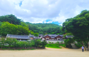 울진고등학교, 1학년 진로 탐색의 날 운영