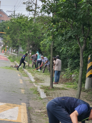 포항시 흥해읍, 추석맞이 주요도로변 풀베기