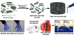 포스텍ㆍ케이메디허브 공동연구팀, 전기 전도성 하이드로겔 개발