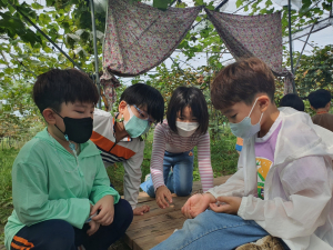 김천초병설유치원, 친환경 자연재배 포도 수확체험