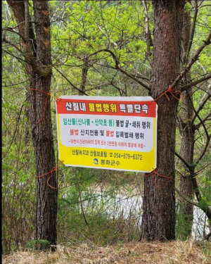 봉화군, 가을철 산림 불법행위 뿌리 뽑는다