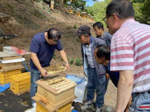 영양, 토종벌 사양관리 능력향상 월동 기술교육