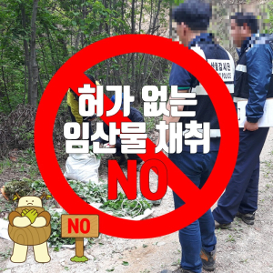 문경시, 가을철 불법 임산물 채취 특별 단속