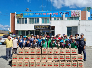 상주시 청리면 새마을지도자회, 고구마 수확작업
