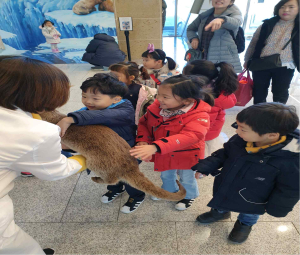 상주낙동강생물자원관, 생물박제 촉각 체험