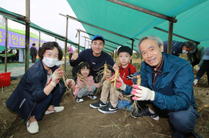 “인삼캐기 체험하러 영주시로 오세요”